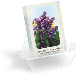 LILAC.JPG