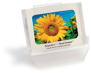 SUNFLOWE.JPG