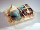 sm_gifts_GREENBOX591.jpg
