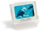 sm_pb_Dolphin.jpg