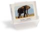 sm_pb_Elephant.jpg