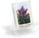 sm_pb_Lilac.jpg