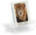 sm_pb_Lion.jpg