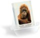 sm_pb_Oranguta.jpg